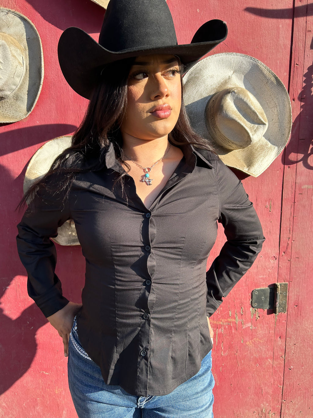 Midnight Rodeo Button Up